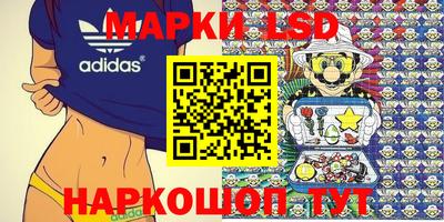 мдпв Бердск