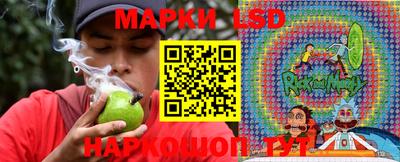 мдпв Бердск