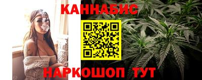 мдпв Бердск