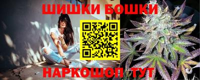мдпв Бердск