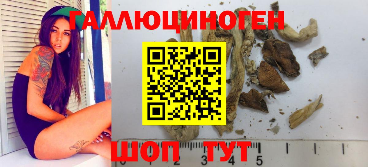 Псилоцибиновые грибы прущие грибы Ялуторовск